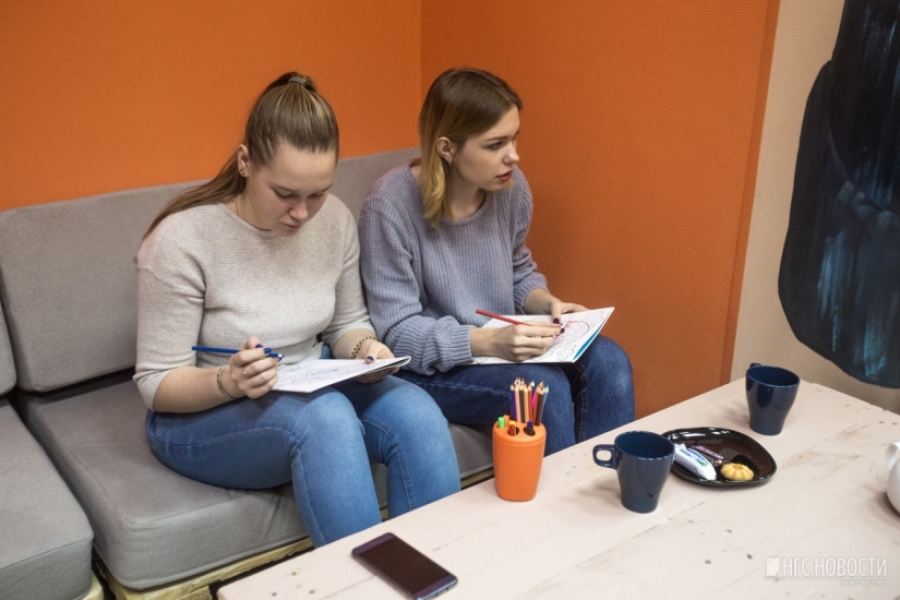 You can't feed them, but you can take them home: a cafe with stray dogs has been opened in Novosibirsk