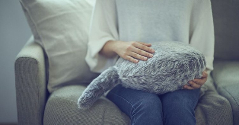 You stroke her, and she purrs: the Japanese have created a cat substitute pillow You stroke her, and she purrs: the Japanese have created a cat substitute pillow