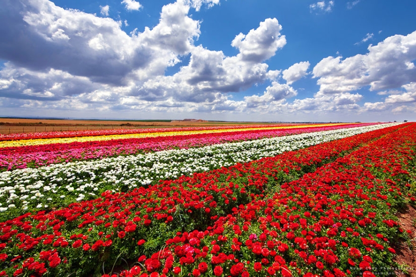 You will never guess where it is: a mixture of world culture and nature in a small country in the Middle East