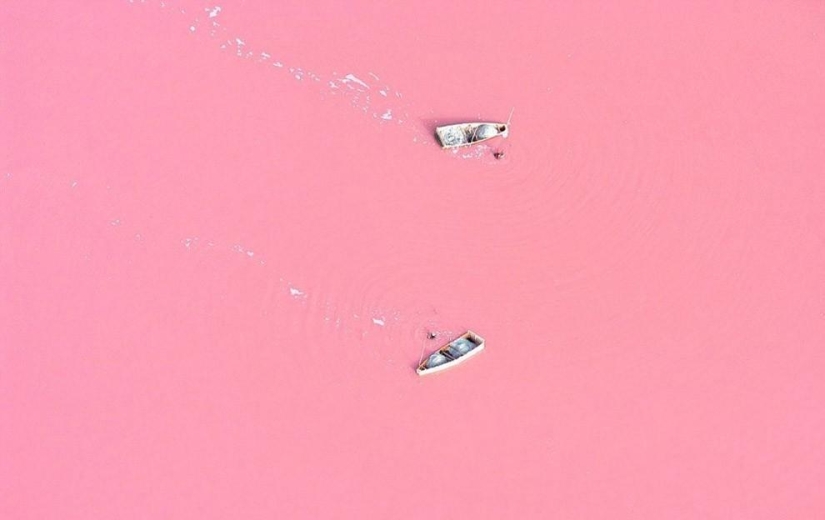 You won't believe it - unrealistically real photos