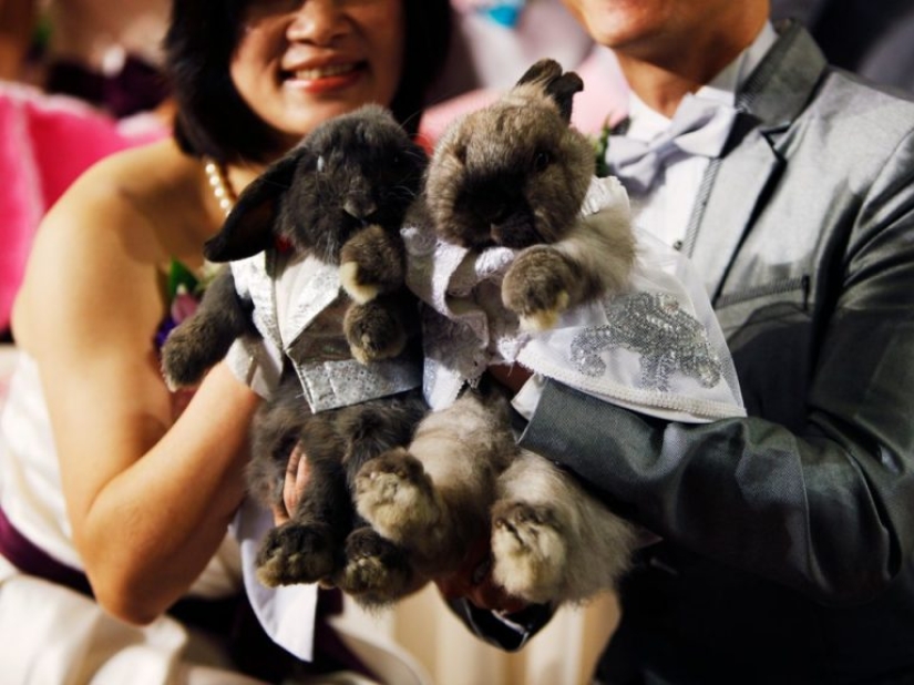 Your best personality trait based on your Chinese zodiac sign