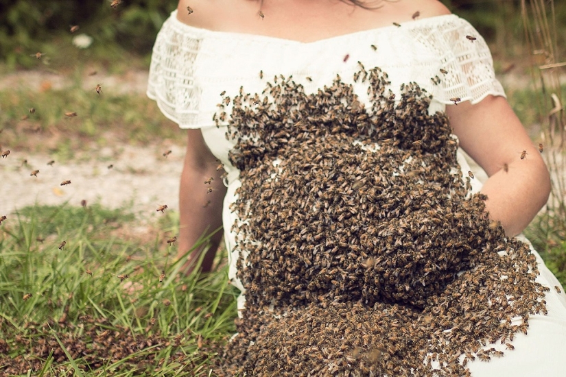 Zhu-zhu-fotos espeluznantes: una mujer estadounidense embarazada organizó una sesión de fotos con un enjambre de abejas