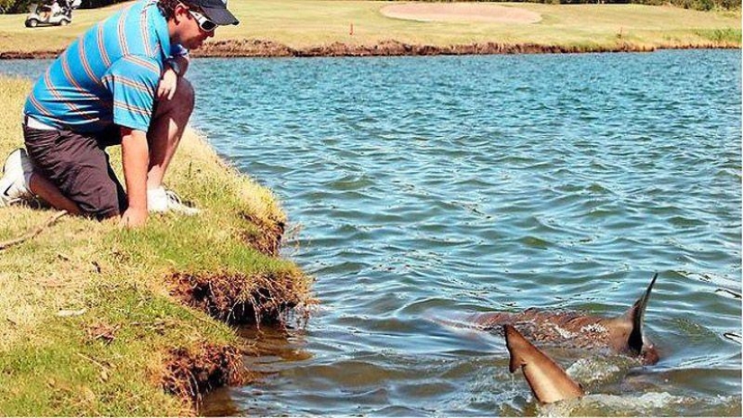 10 Animal Species You'll See in Unexpected Places 10 Animal Species You'll See in Unexpected Places