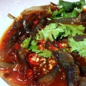 10 animales que la gente come vivos