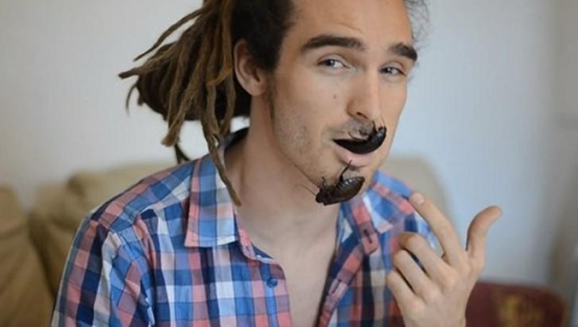 10 animales que la gente come vivos 10 animales que la gente come vivos