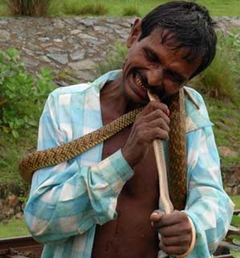 10 animales que la gente come vivos 10 animales que la gente come vivos