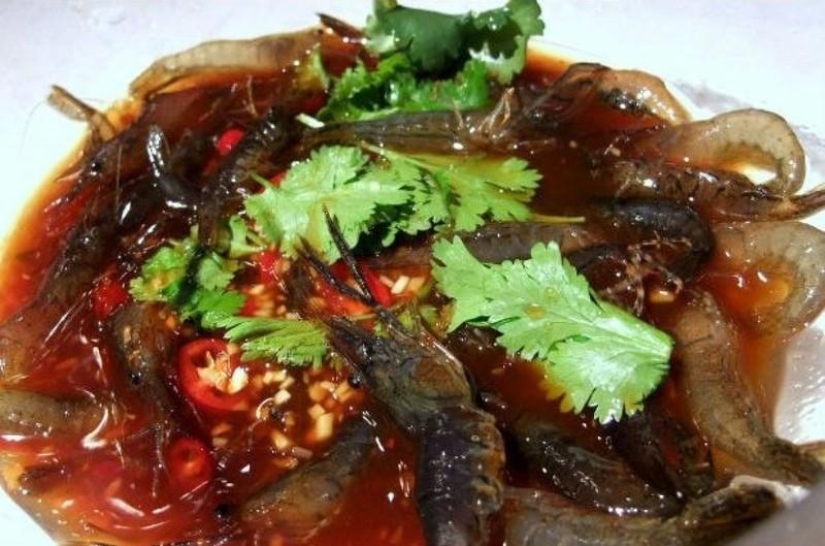 10 animals that people eat alive 10 animals that people eat alive