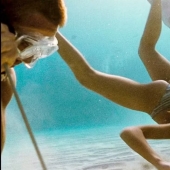 10 Best Movies Like Uncharted to Watch Next