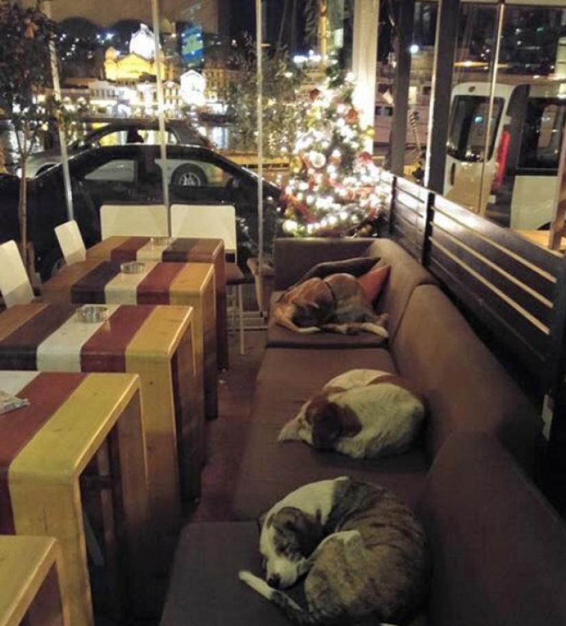 10 buenas historias que devolverán la fe a las personas 10 buenas historias que devolverán la fe a las personas