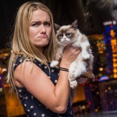 10 cherished secrets of the success of the richest cat in the world