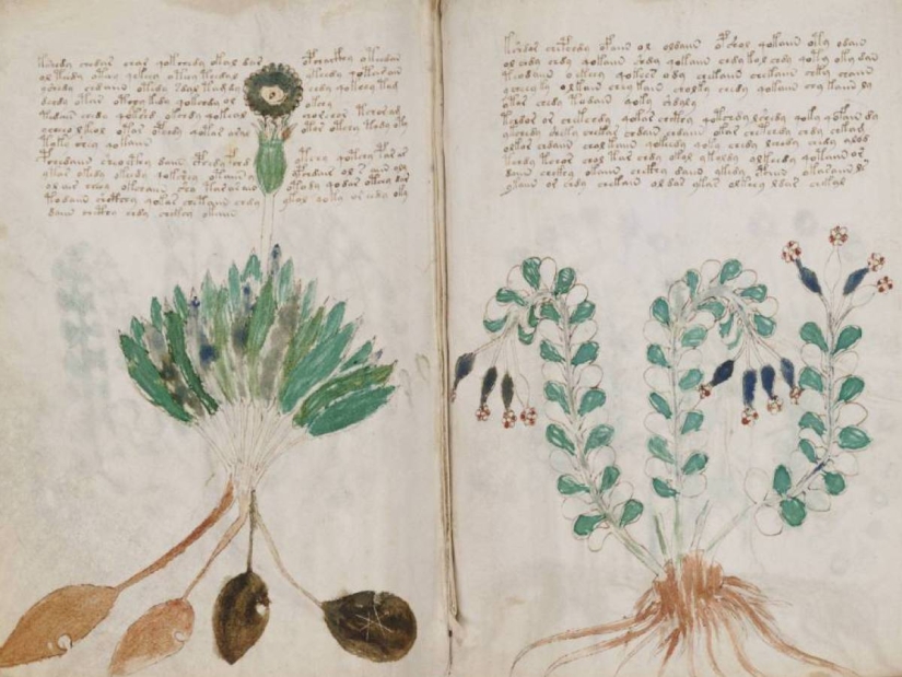 10 cifrados misteriosos que han desconcertado a la humanidad durante décadas