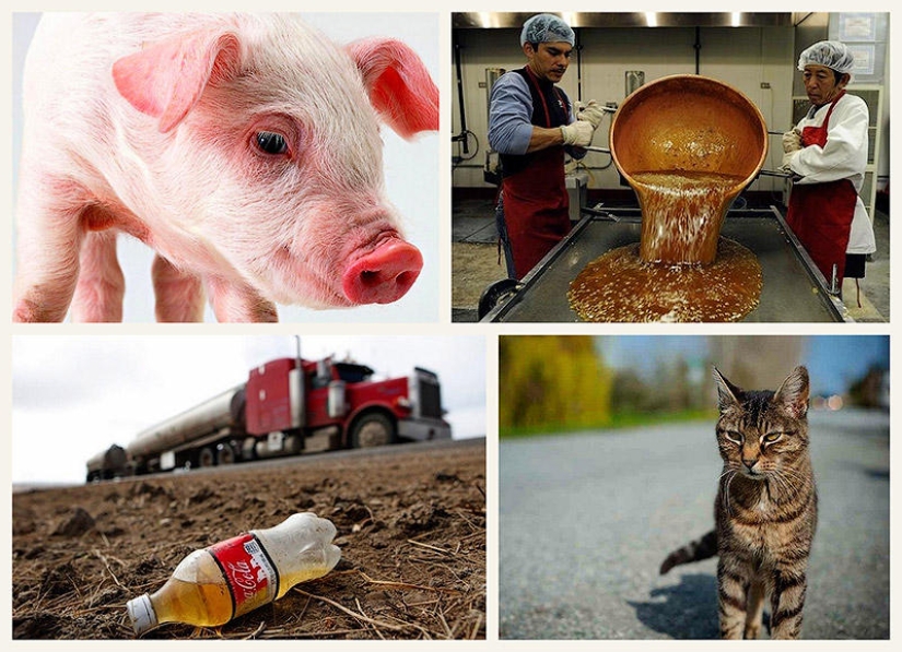 10 cosas comunes que pueden convertirse en armas 10 cosas comunes que pueden convertirse en armas