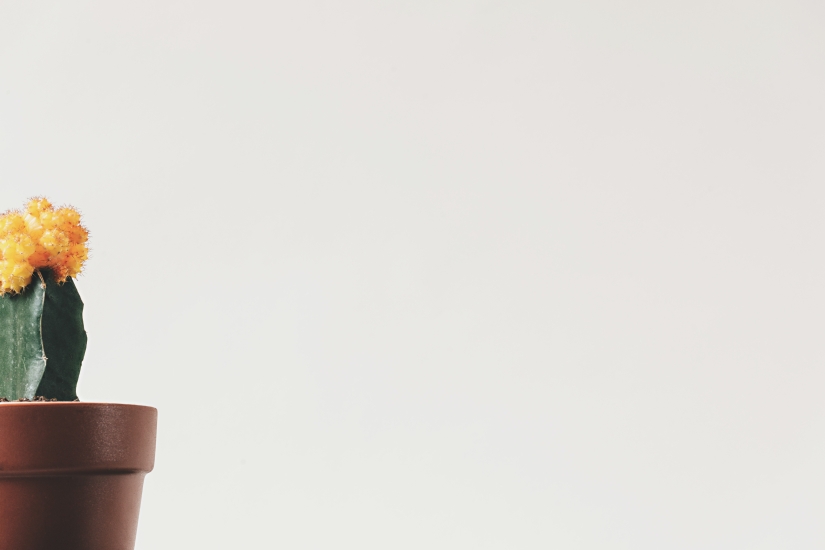 10 cosas que los minimalistas no hacen 10 cosas que los minimalistas no hacen