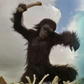 10 Creative Opening Movie Scenes That Stick With You