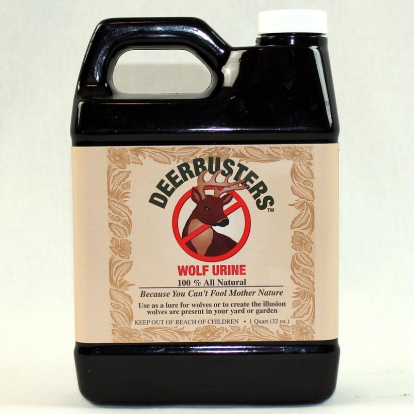 10 Creepiest Items You Can Buy Online