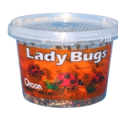 10 Creepiest Items You Can Buy Online