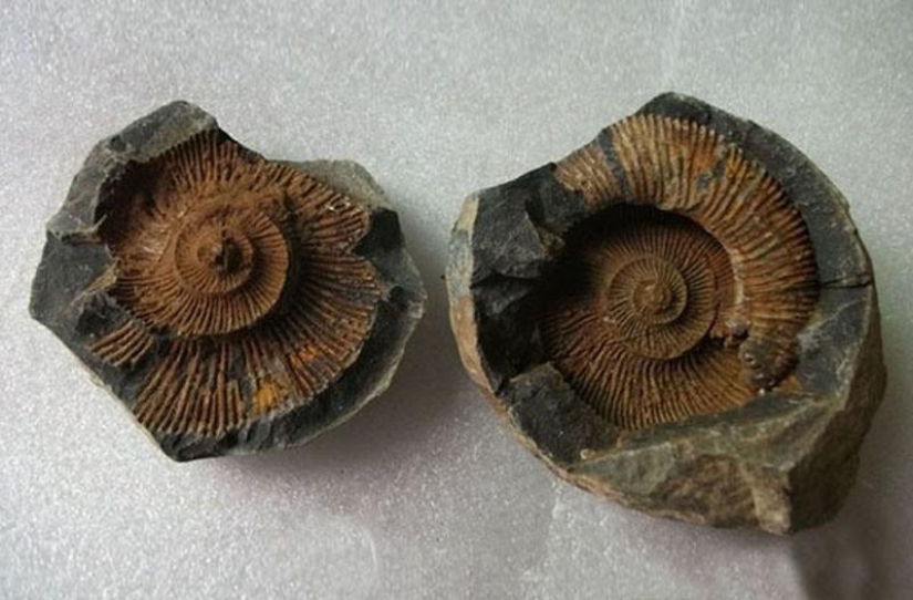 10 datos sobre el Everest que aún no sabías