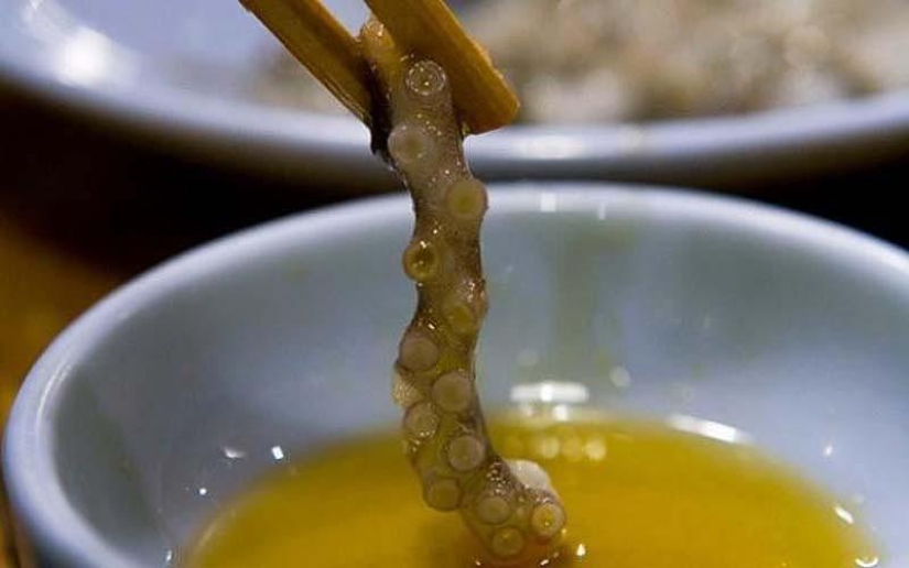 10 delicias inusuales de los seres vivos