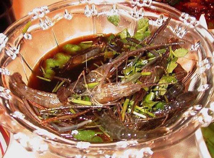 10 delicias inusuales de los seres vivos