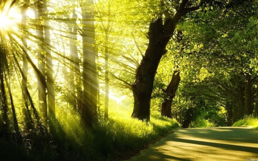 10 easy ways to boost your brain power