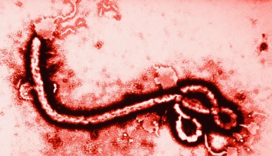 10 Ebola Facts You Should Know Today