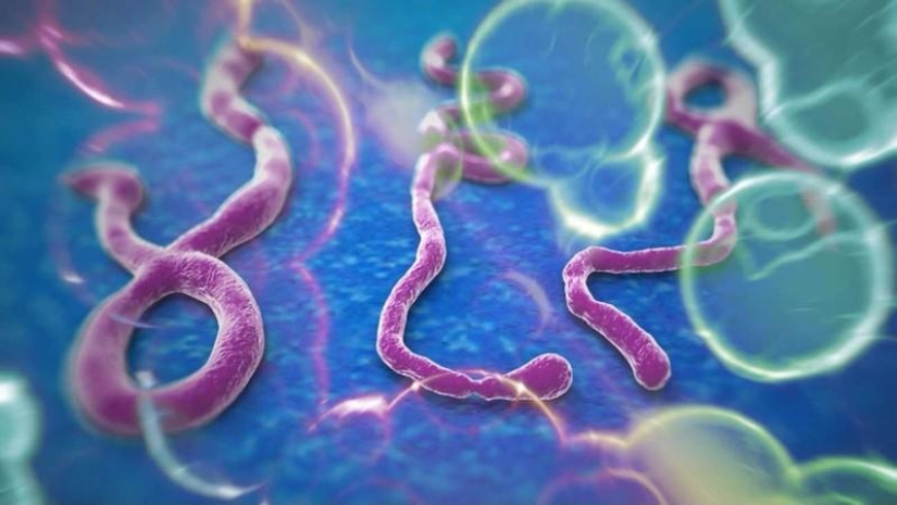 10 Ebola Facts You Should Know Today
