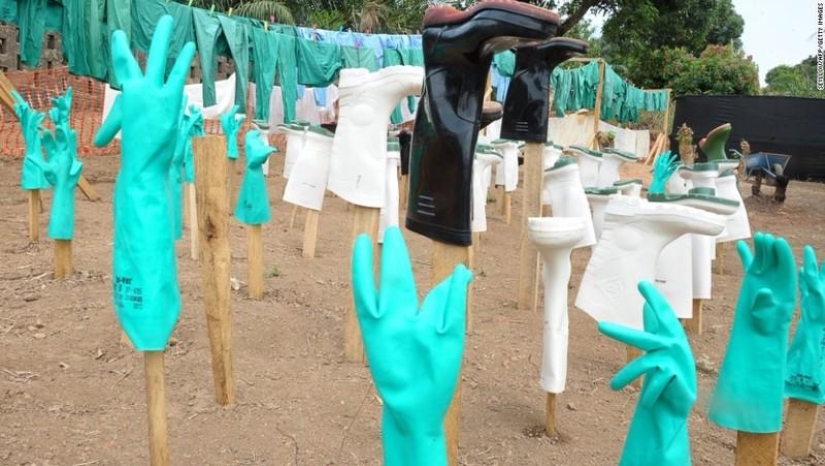 10 Ebola Facts You Should Know Today