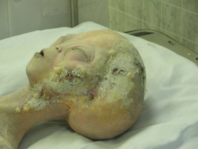 10 engaños científicos que conmocionaron al mundo 10 engaños científicos que conmocionaron al mundo