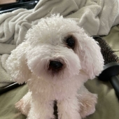 10 entusiastas del crochet compartieron sus trabajos más bellos en esta comunidad (Parte2)