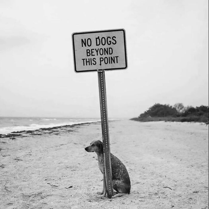 10 Fascinating Pics Featured On “The Decisive Moments Magazine” Instagram Account