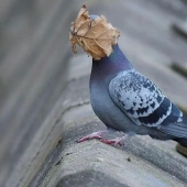 10 Fascinating Pics Featured On “The Decisive Moments Magazine” Instagram Account