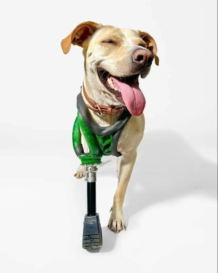 10 Fascinating Pics Featured On “The Decisive Moments Magazine” Instagram Account