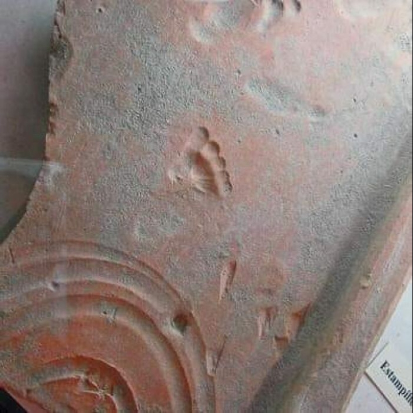 10 Fascinating Archeological Finds We Are Lucky Enough To Witness, As Shared On This FB Group