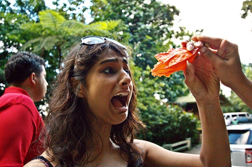 10 fobias provocadas por la naturaleza 10 fobias provocadas por la naturaleza