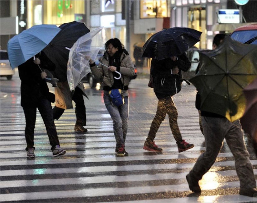 10 fobias provocadas por la naturaleza 10 fobias provocadas por la naturaleza