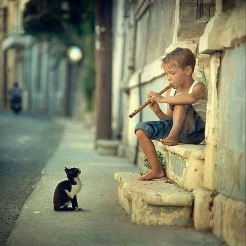 10 fotografías callejeras que lograron capturar la belleza de los gatos, presentadas en esta página de Instagram (Parte 2)