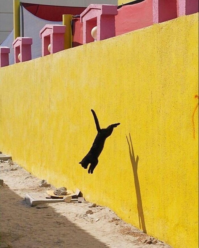 10 fotografías fascinantes presentadas en la cuenta de Instagram “The Decisive Moments Magazine”