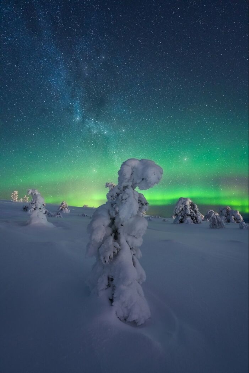 10 fotos de la Madre Tierra tomadas en esta página en línea que demuestran que la naturaleza está iluminada