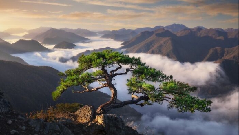 10 fotos de la Madre Tierra tomadas en esta página en línea que demuestran que la naturaleza está iluminada