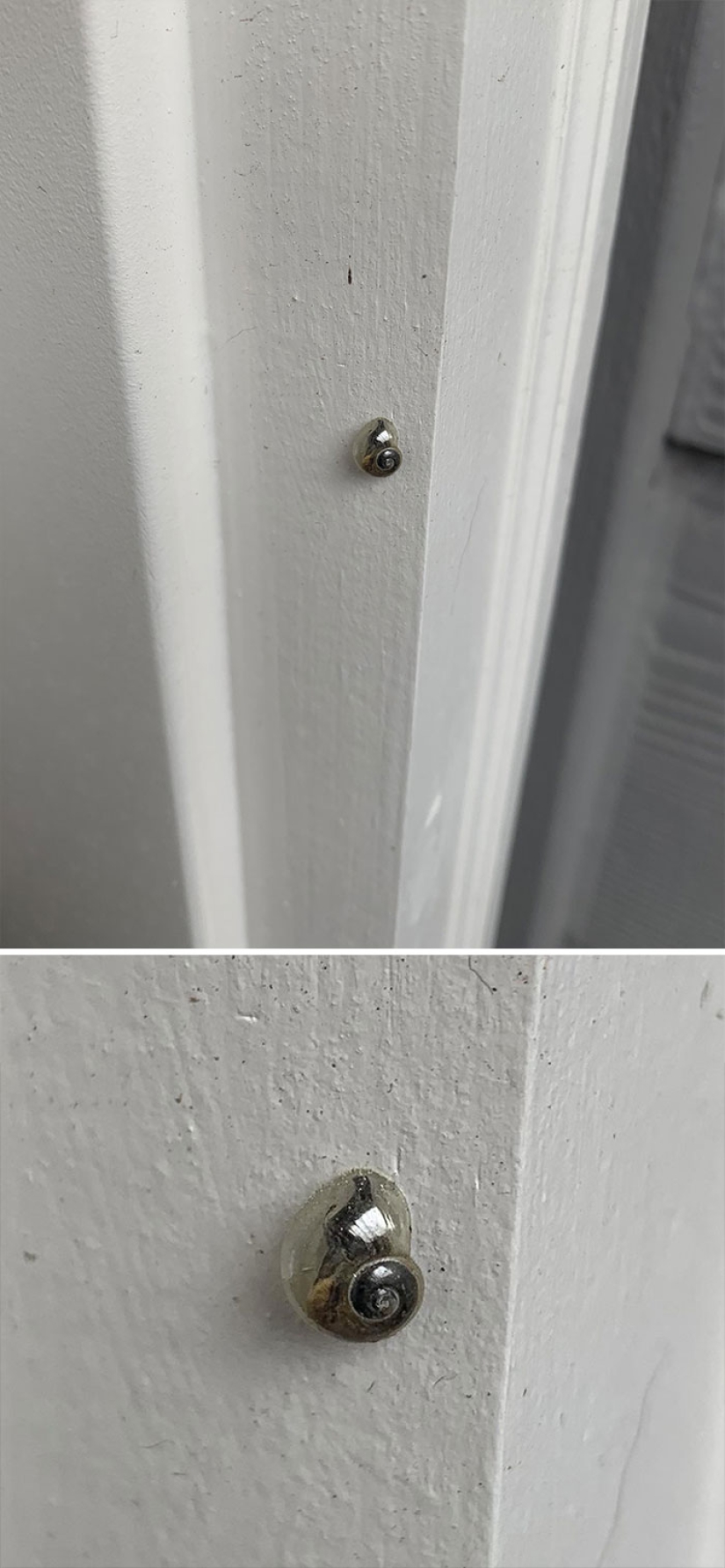 10 fotos fascinantes de cosas raras 10 fotos fascinantes de cosas raras