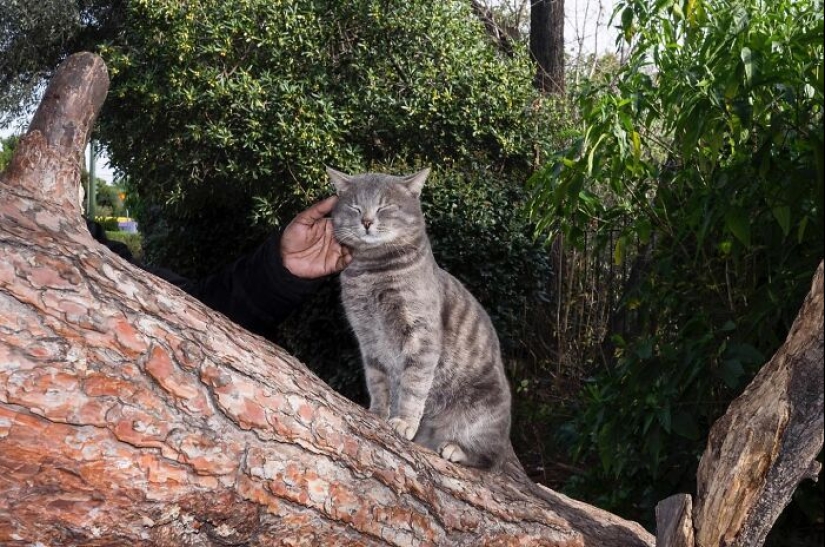 10 Funny Accidental Images That Were Taken At The Right Time And Place By This Street Photographer 10 Funny Accidental Images That Were Taken At The Right Time And Place By This Street Photographer