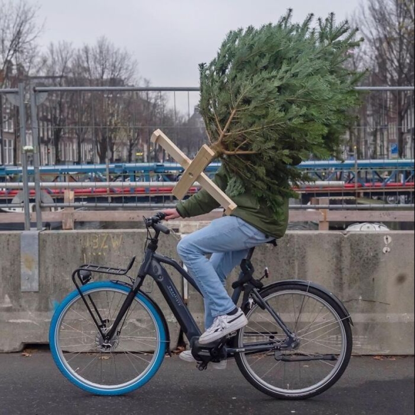 10 Funny Accidental Images That Were Taken At The Right Time And Place By This Street Photographer 10 Funny Accidental Images That Were Taken At The Right Time And Place By This Street Photographer