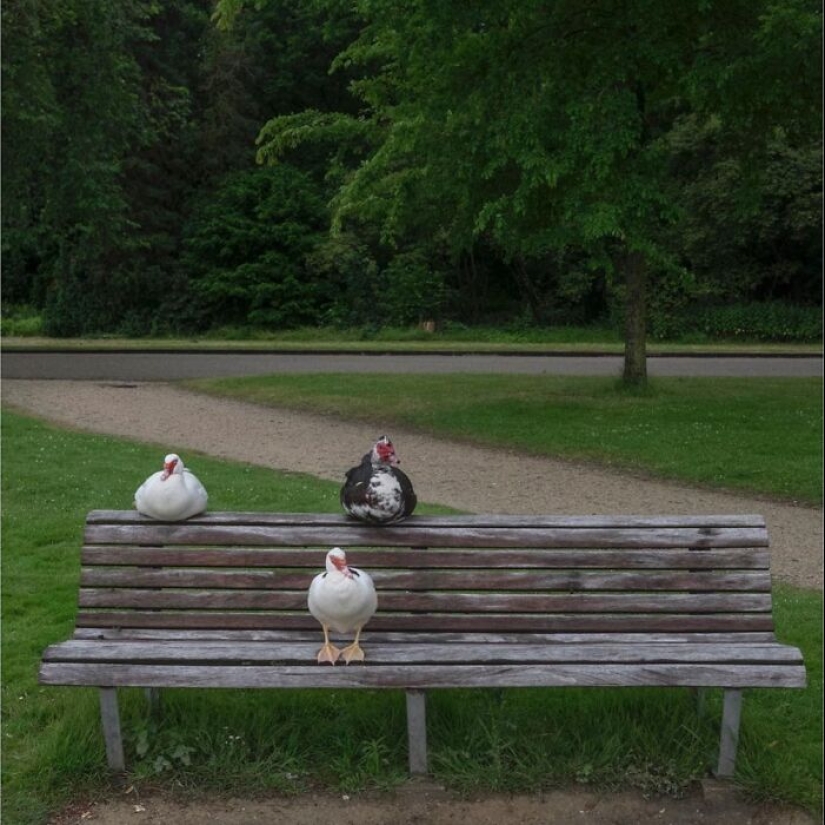 10 Funny Accidental Images That Were Taken At The Right Time And Place By This Street Photographer 10 Funny Accidental Images That Were Taken At The Right Time And Place By This Street Photographer