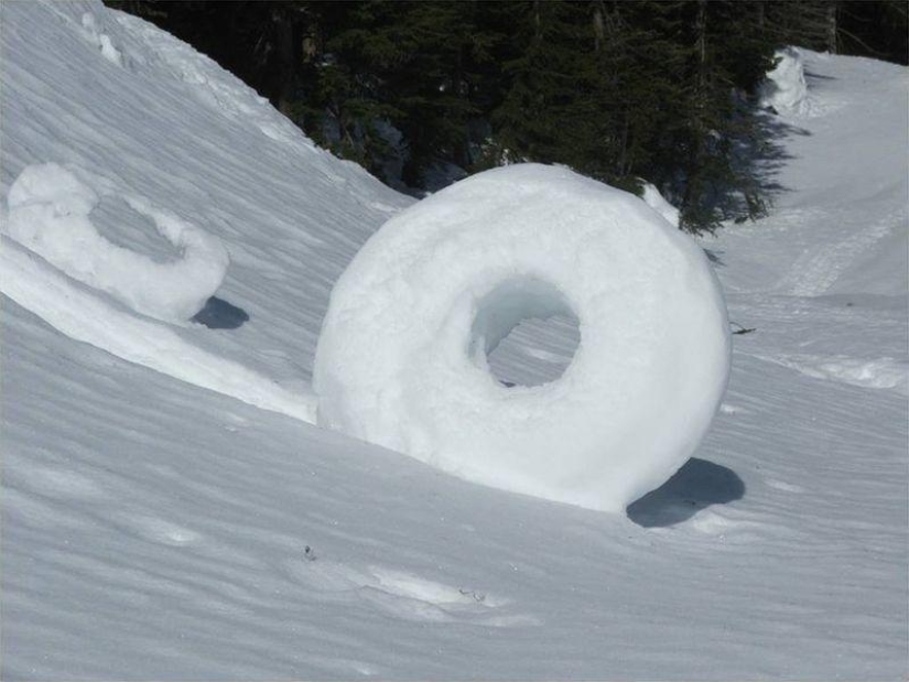 10 funny natural phenomena 10 funny natural phenomena