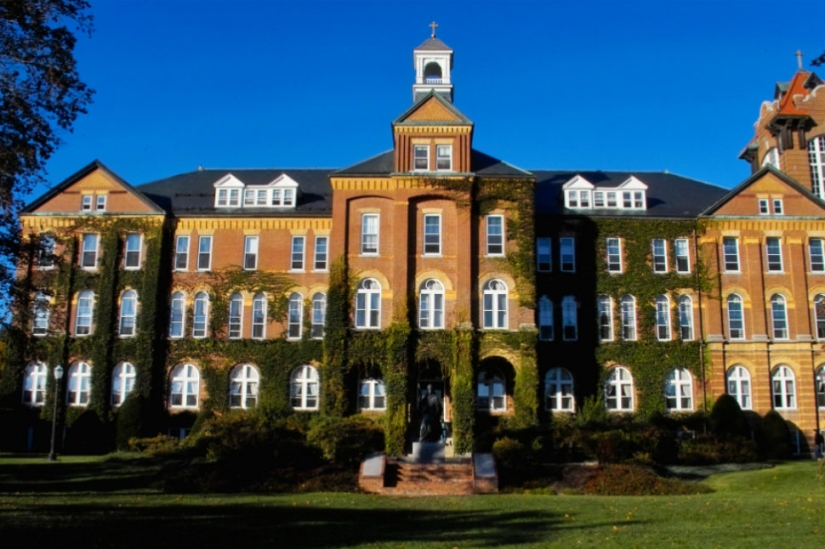 10 funny training courses, the existence of which is hard to believe 10 funny training courses, the existence of which is hard to believe