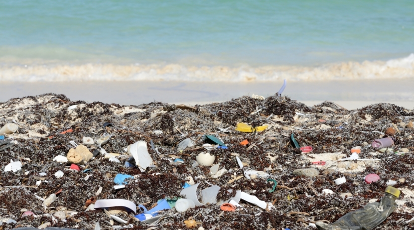 10 funny training courses, the existence of which is hard to believe 10 funny training courses, the existence of which is hard to believe