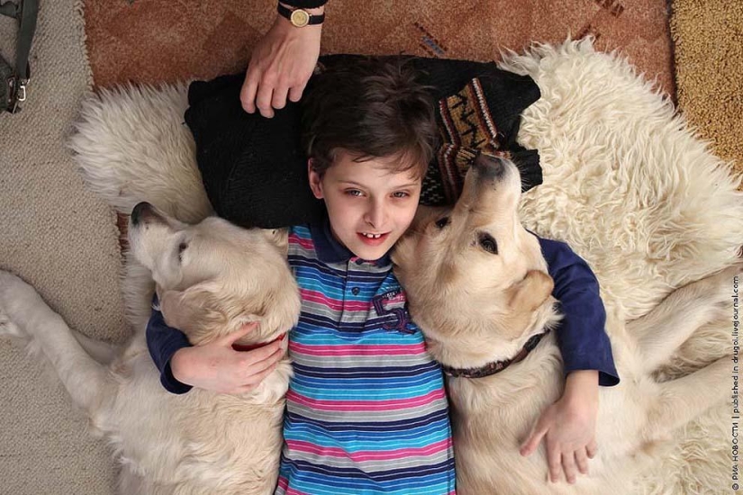 10 historias más conmovedoras de comunicación entre niños y animales 10 historias más conmovedoras de comunicación entre niños y animales