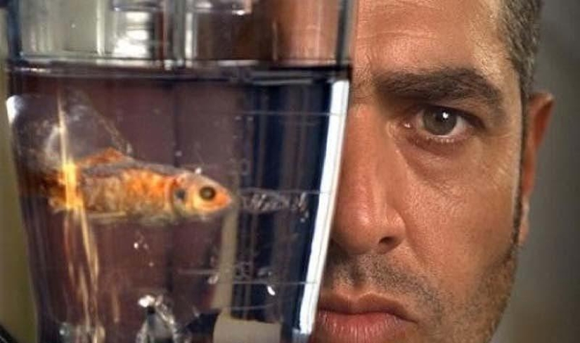 10 horror stories about malnutrition 10 horror stories about malnutrition