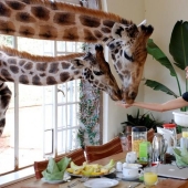 10 hoteles con servicios adicionales únicos