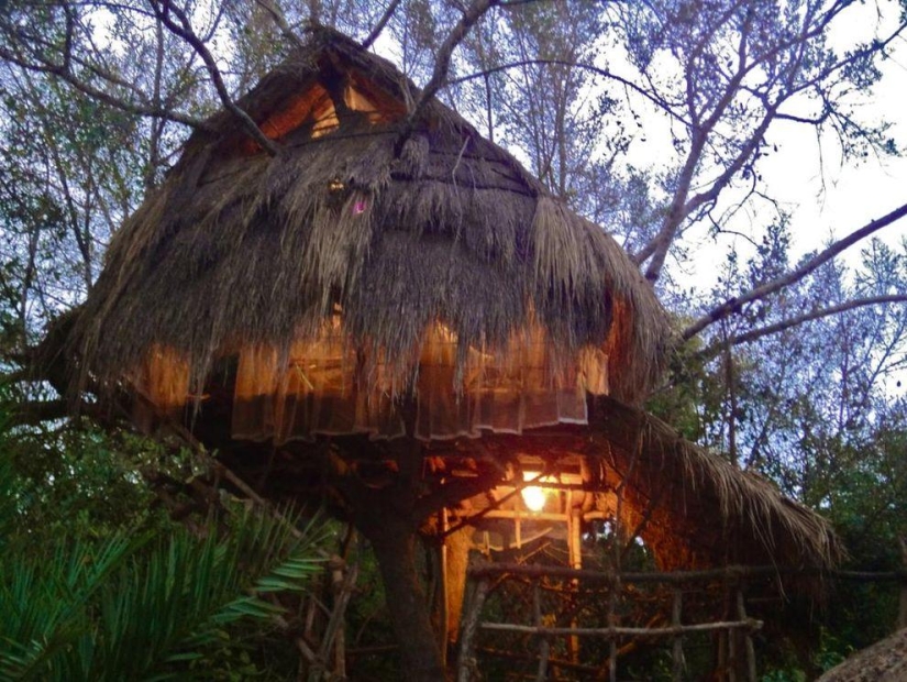 10 hoteles más increíbles en los árboles 10 hoteles más increíbles en los árboles